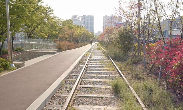 폐선부지 위에 피어난 생명의 숲 푸른길공원 썸네일 이미지